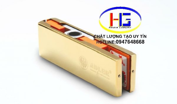 phụ kiện cửa thủy lực